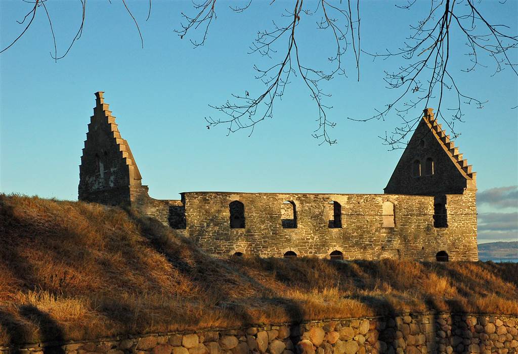 Visingsborgs slottsruin